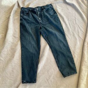 American Eagle Outfitters Dark Wash Jeans